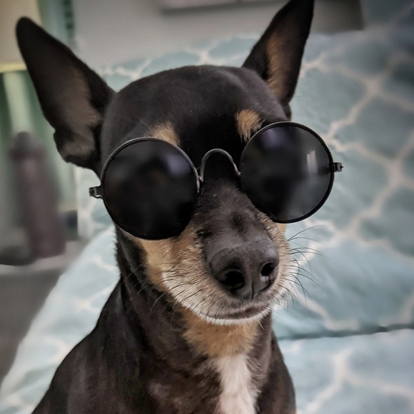 Meet the Posher Other - Meet your Posher, Britt